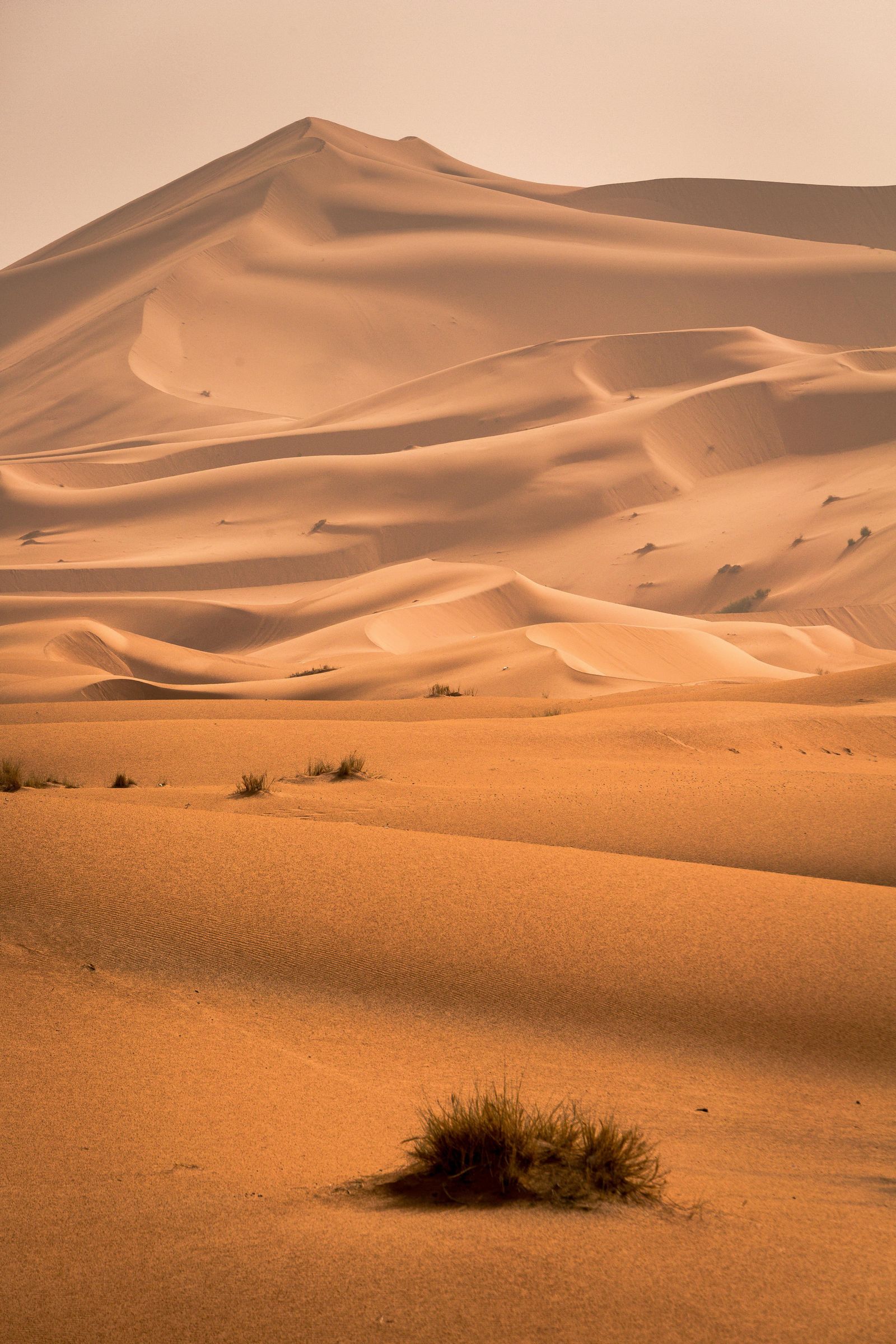 Sahara Dome: Living in the Sahara Desert