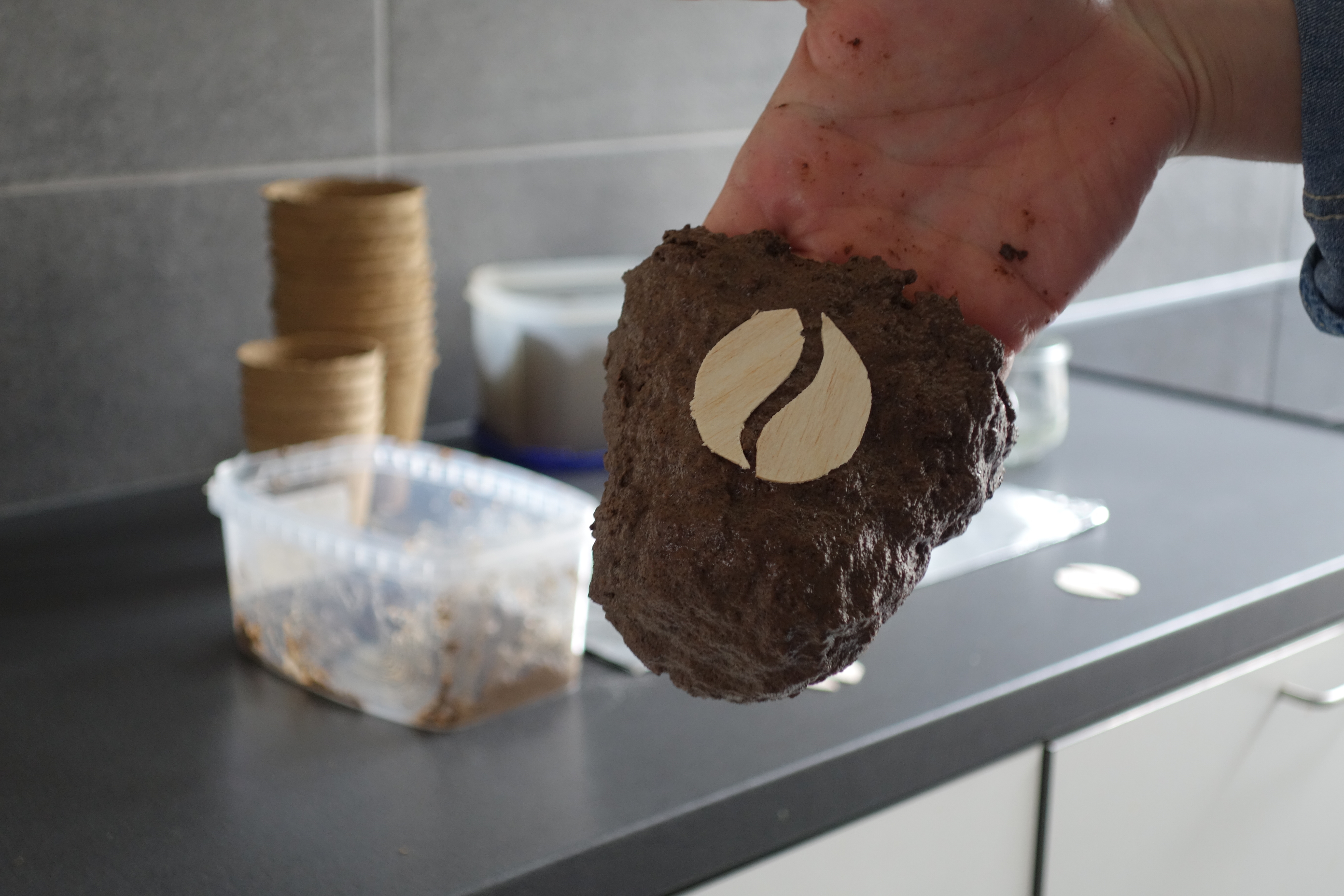 Biodegradable Flower Pots Out of Coffee Grounds! 6 Steps (with