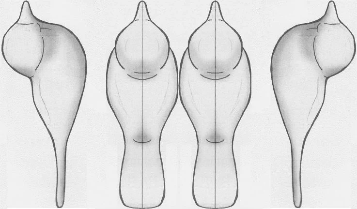 How to Carve a Wooden Bird: a Detailed Guide to Whittling Birds : 7 Steps (with Pictures) - Instructables how-to-carve-a-wooden-bird-a-detailed-guide-to-whittling-birds-7-steps-with-pictures-instructables