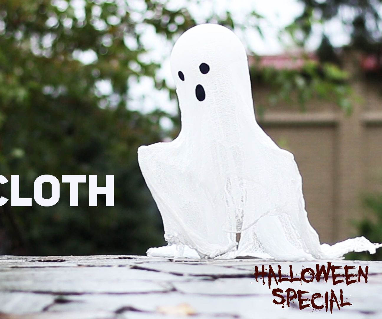 Cheesecloth Ghost / Halloween Special