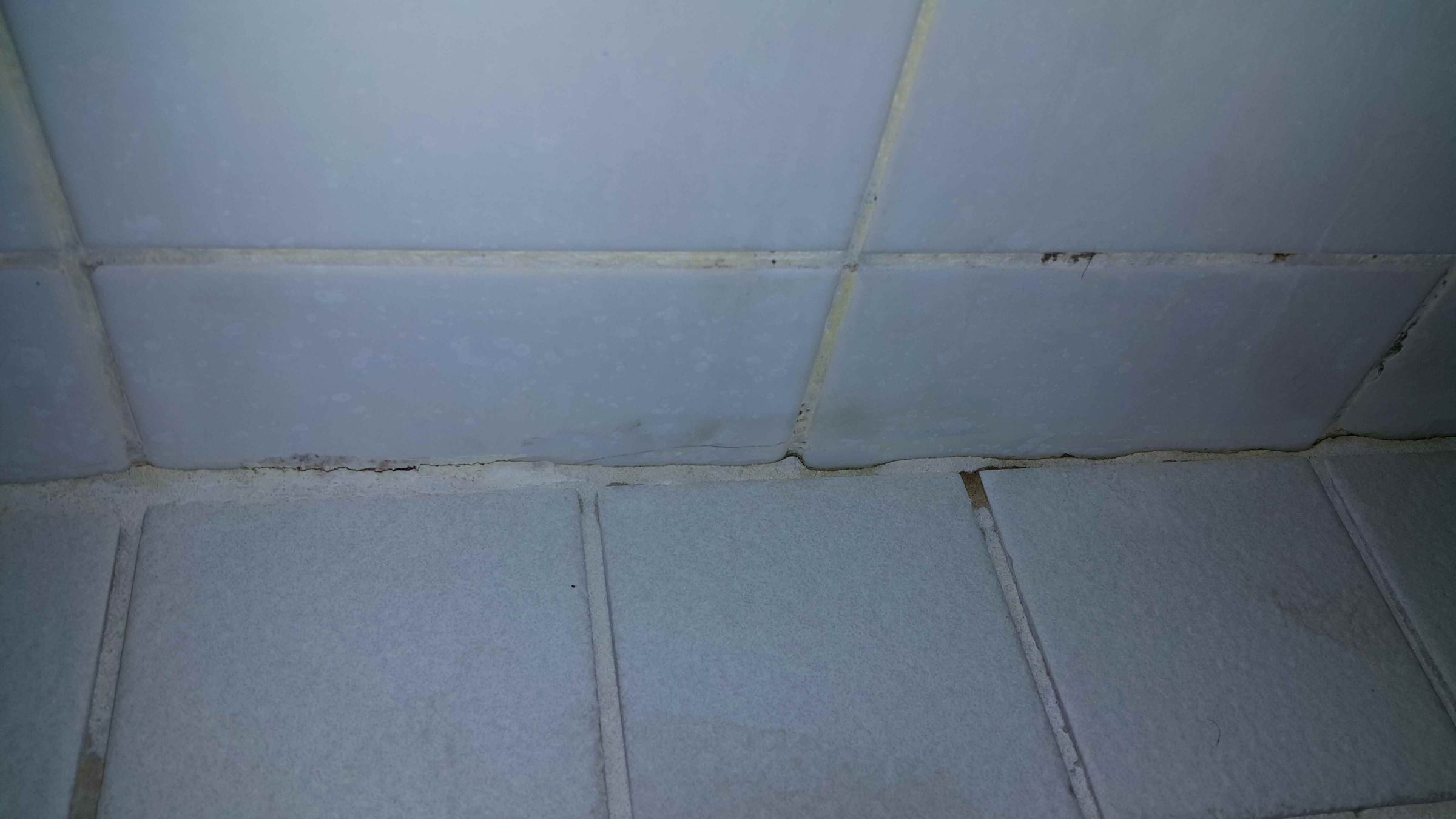 Fixing a Leaky Bathroom Base. 