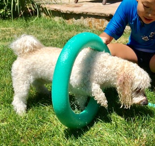 Use a Pool Noodle As a Mini Shower