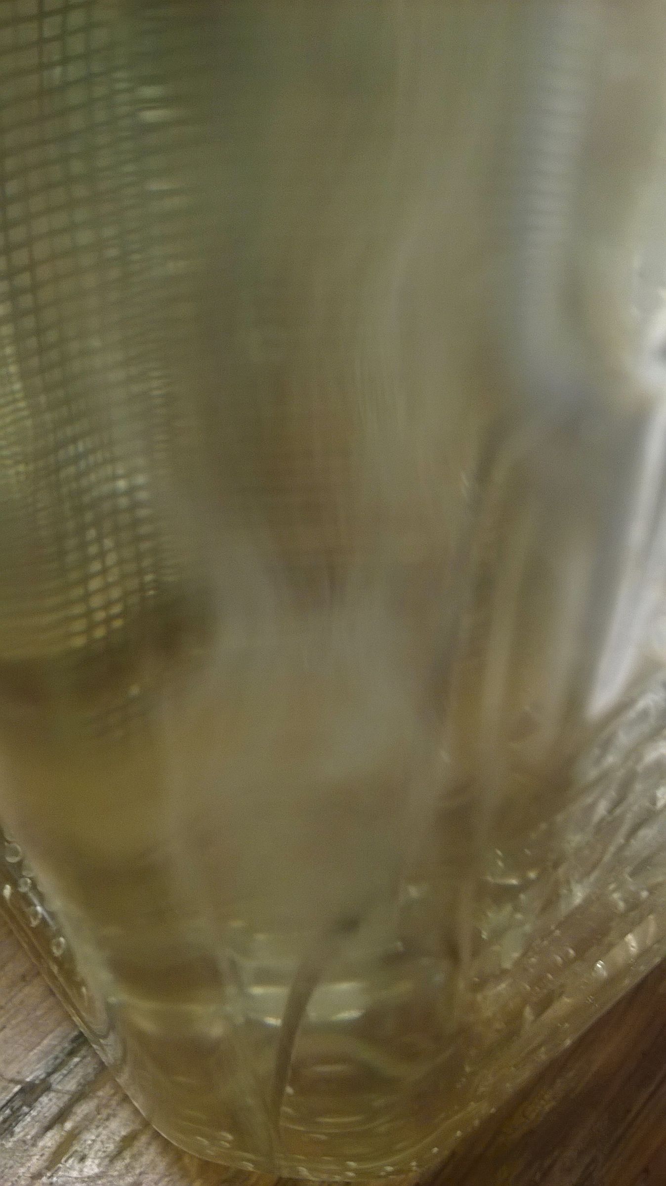 Electroplating Nitinol for Soldering 6 Steps (with Pictures