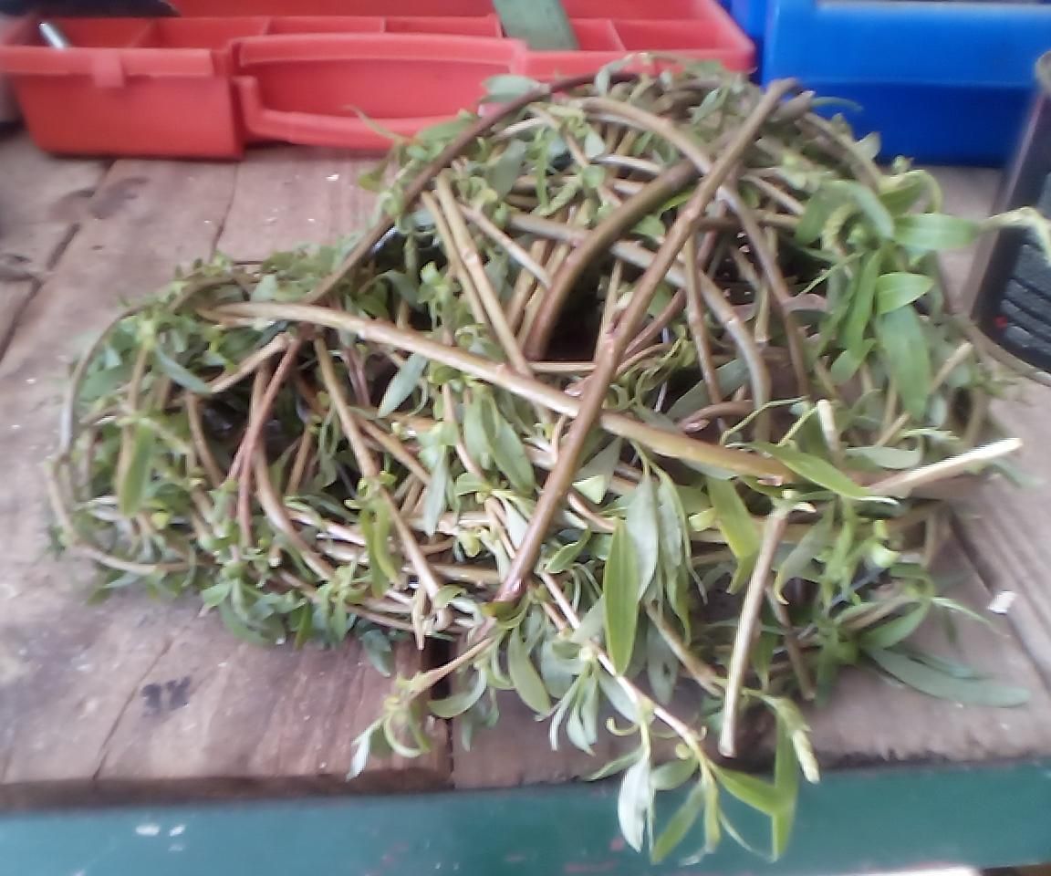 Eco-friendly, Camouflage Hat