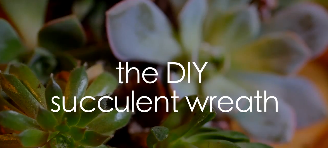 DIY: Make Your Own Succulent Wreath