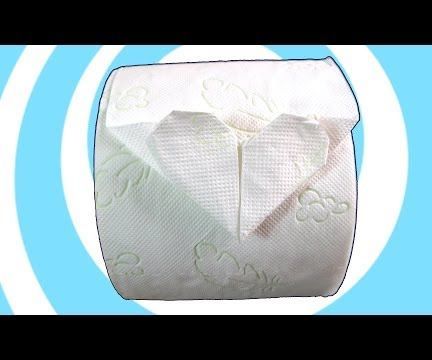 Toilet Paper Origami Heart