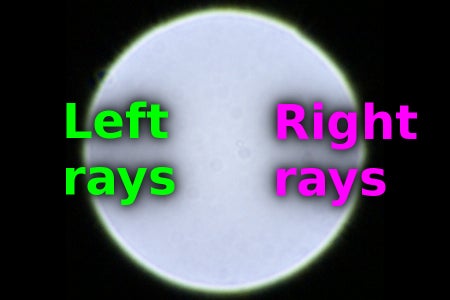 Use Your Camera to Capture "3D" Anaglyphs : 15 Steps (with Pictures