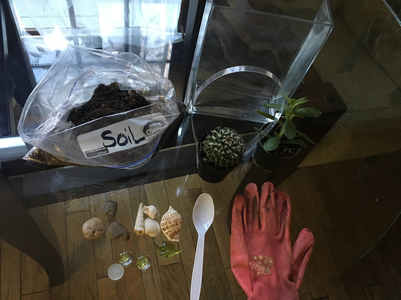 Gather Terrarium Materials