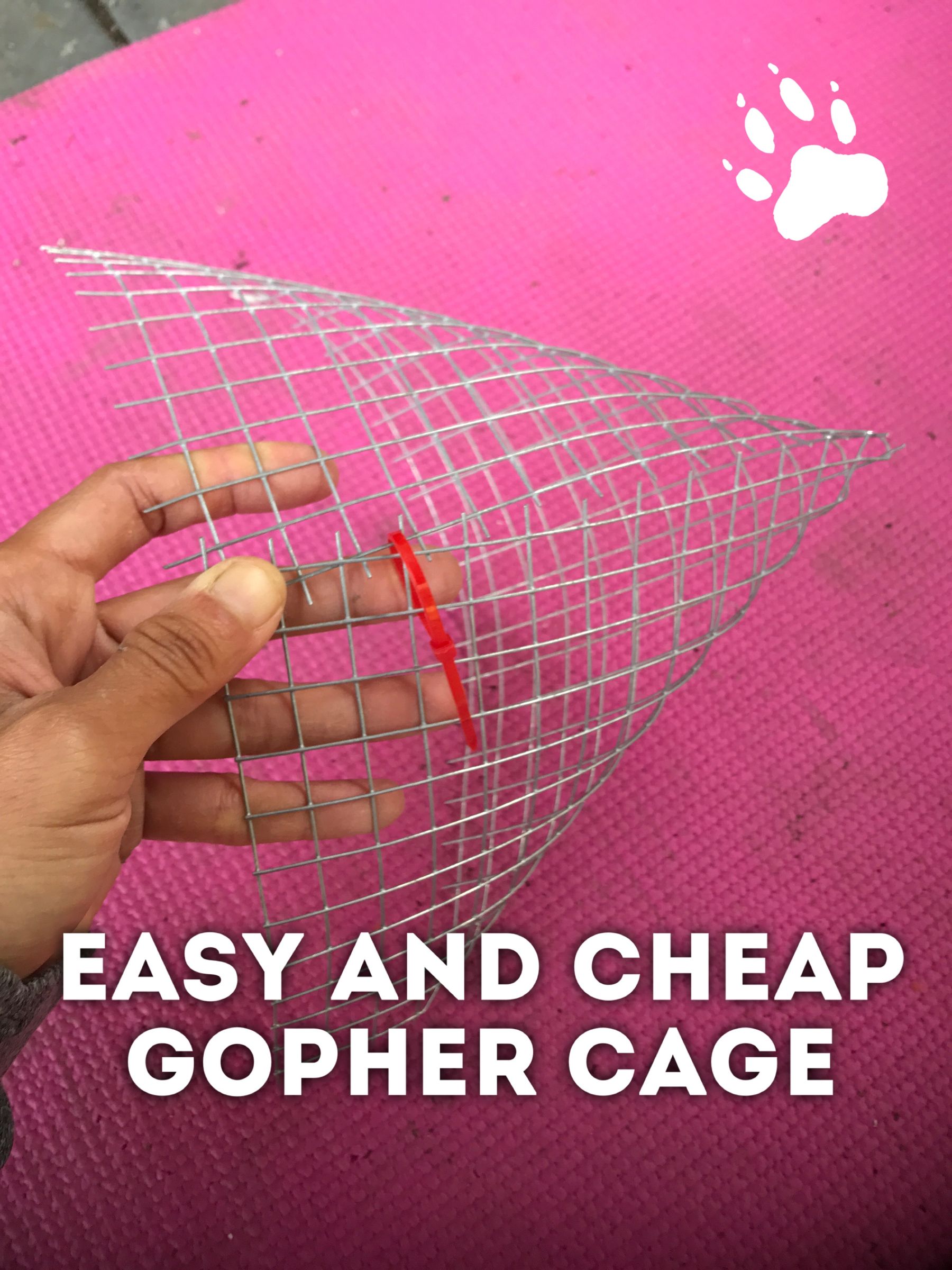 Easy and Cheap Gopher Cage 5 Steps (with Pictures) Instructables