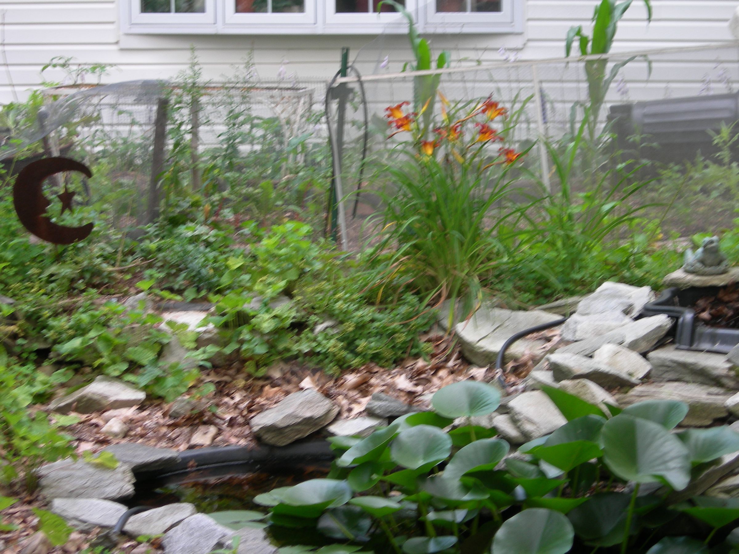 Successful Garden on a Shoestring Budget