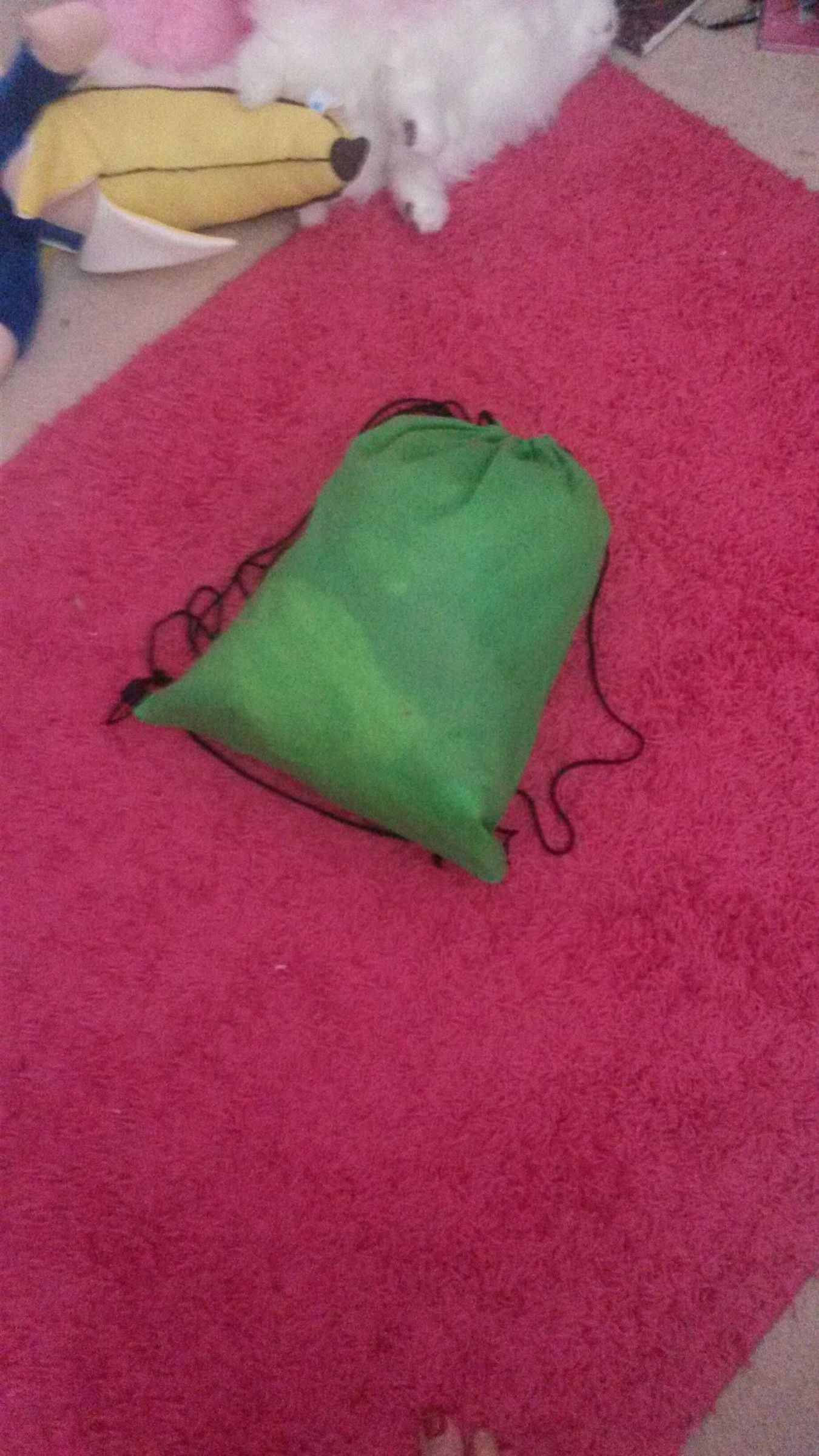 Survival And/or Safekeeping Bag
