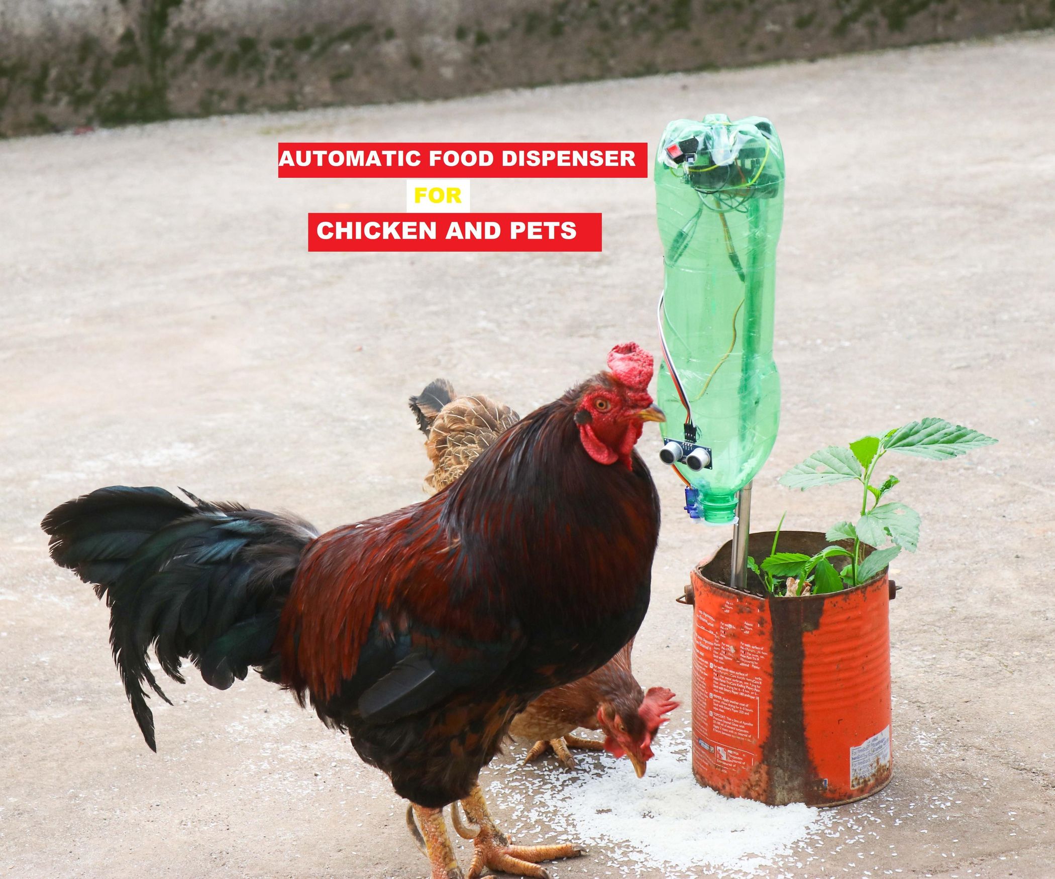 DIY Automatic Food Dispenser for Chickens and Pets 7 Steps (with