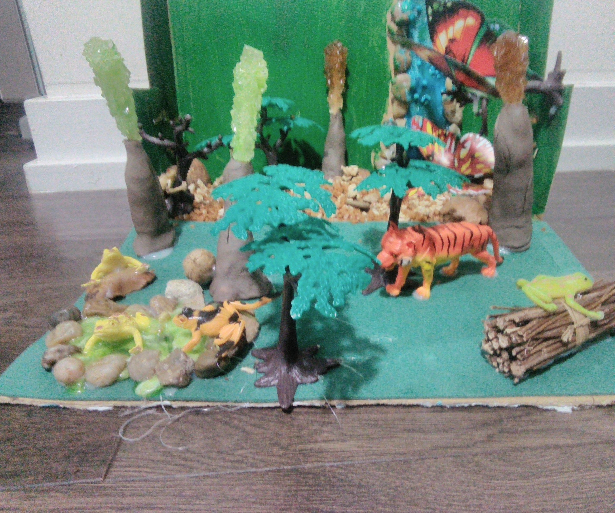 Rainforest Candy Ecosystem 