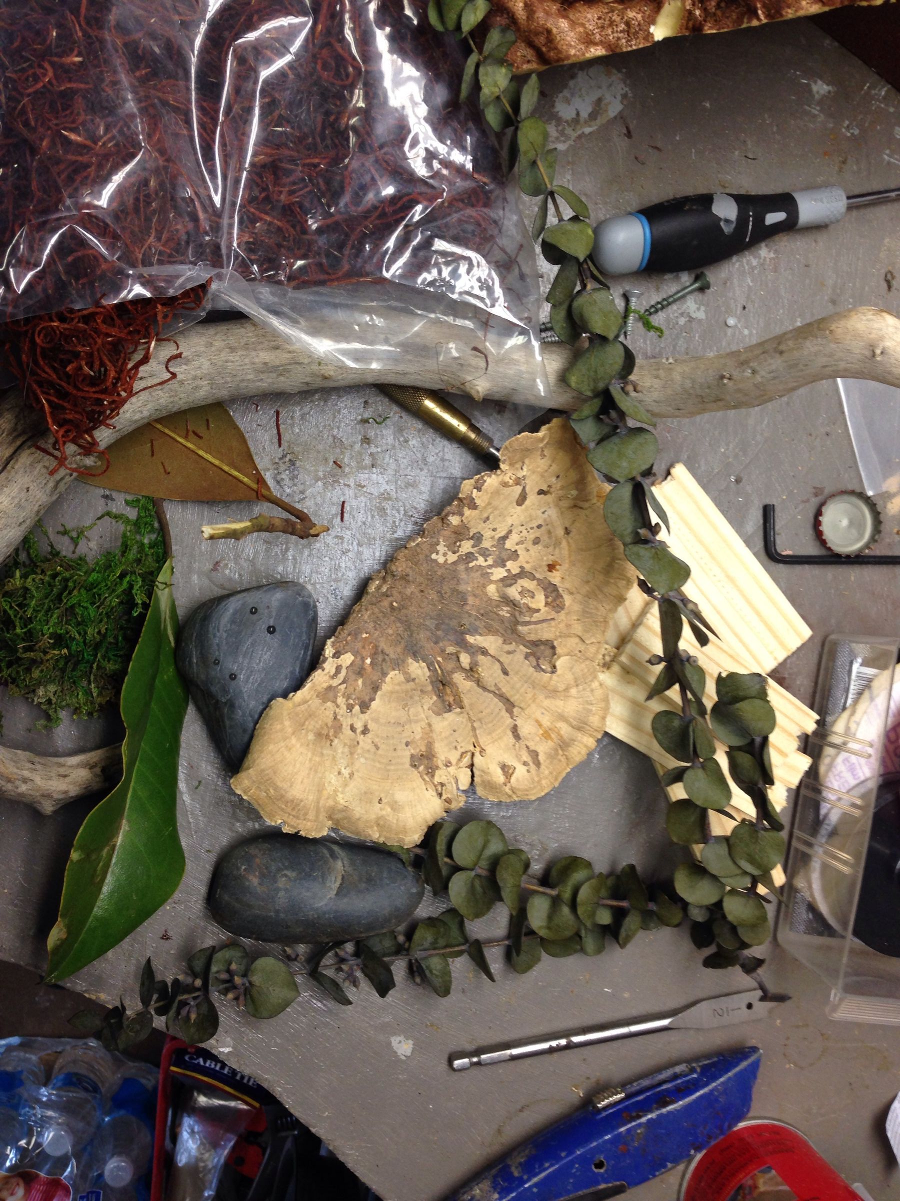 Terrarium Background : 6 Steps - Instructables