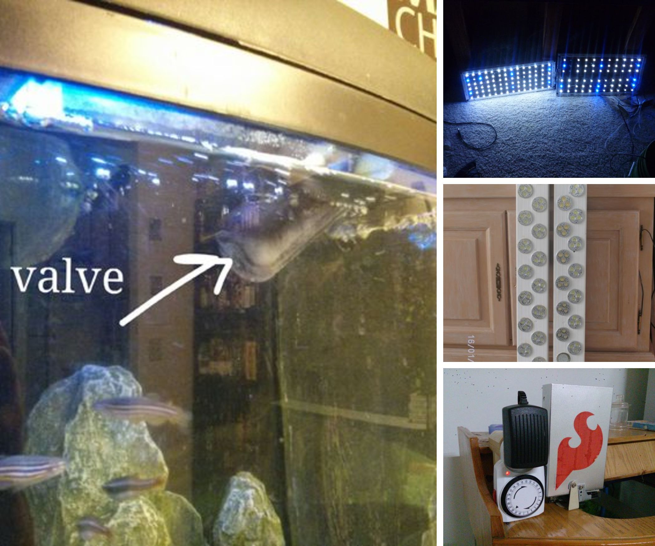 Aquarium Instructables