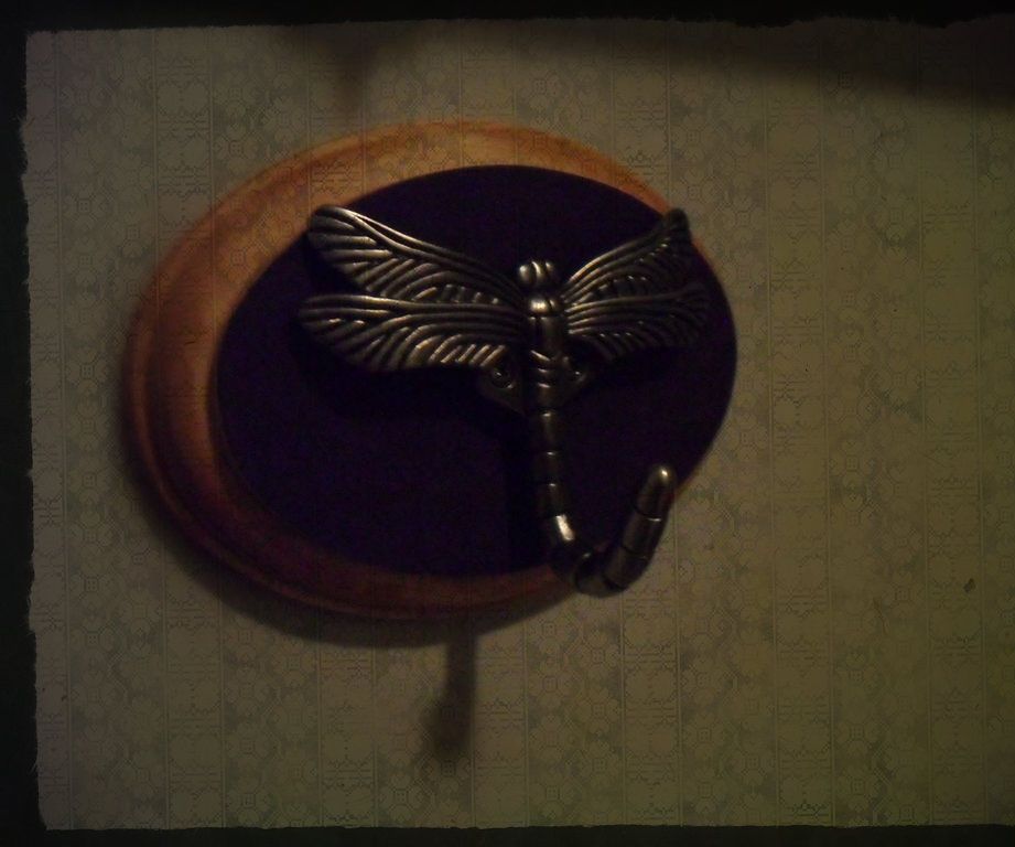 Cool Wall Hook for a Childs Room