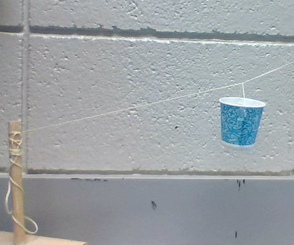 A Candy Ziplinerator 2000