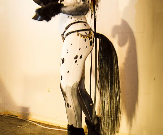 Horse Tail Tutorial