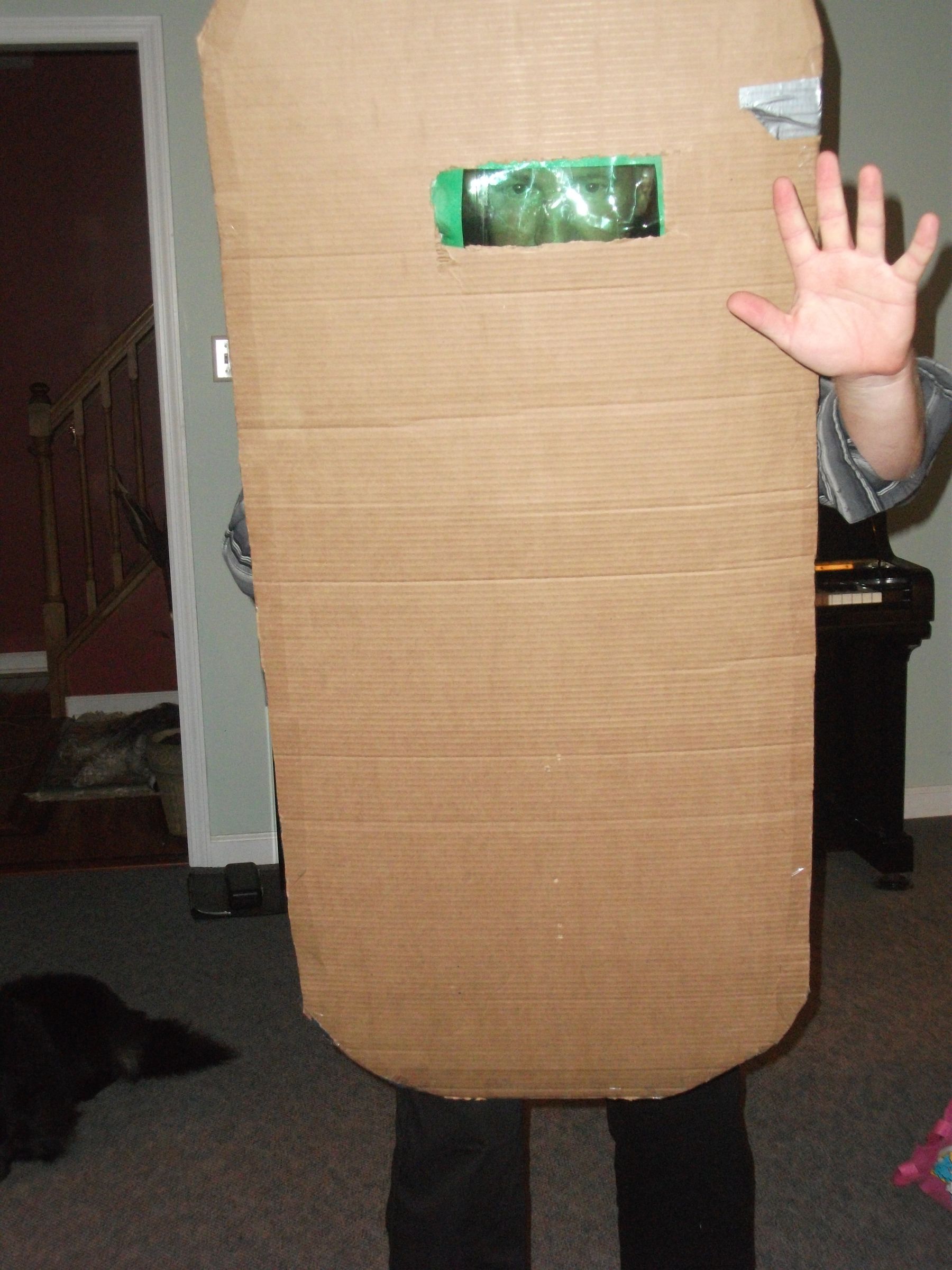 Cardboard Riot Shield