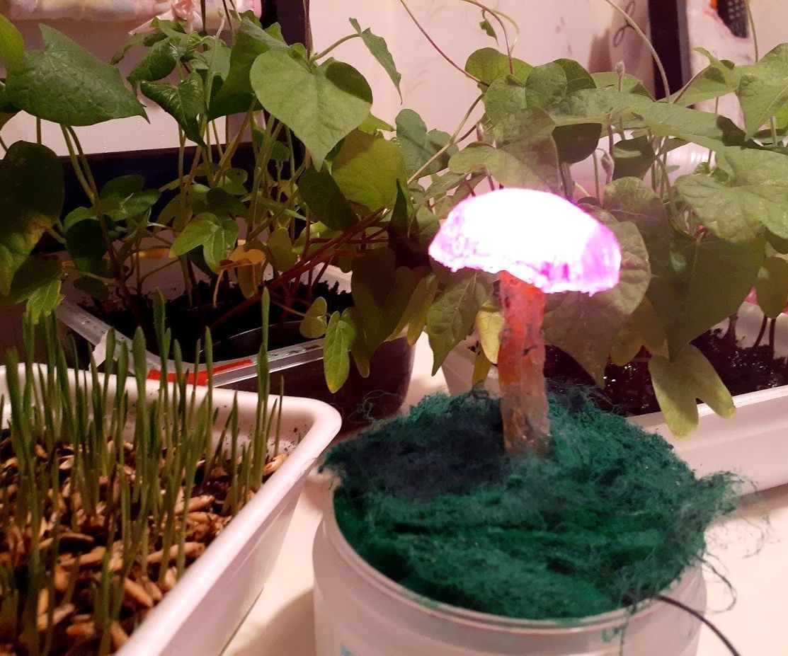 Mushroom Phyto Lamp