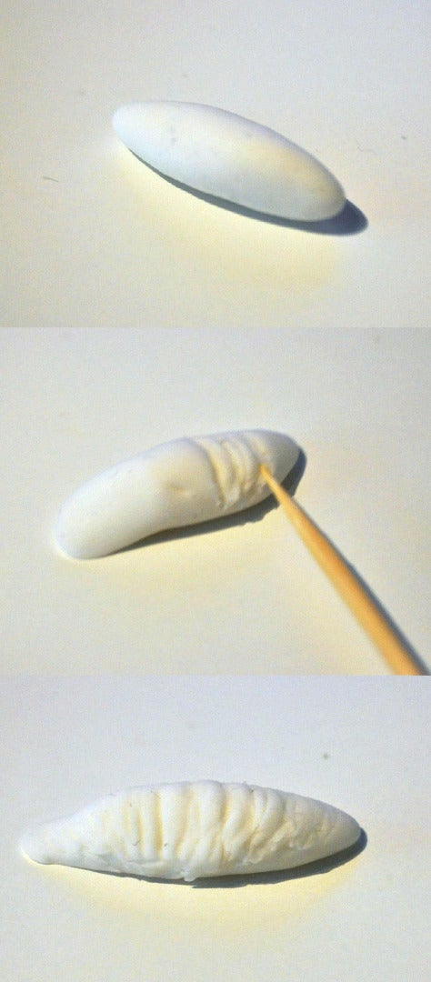 How to Sculpt Realistic Larvae and Maggots