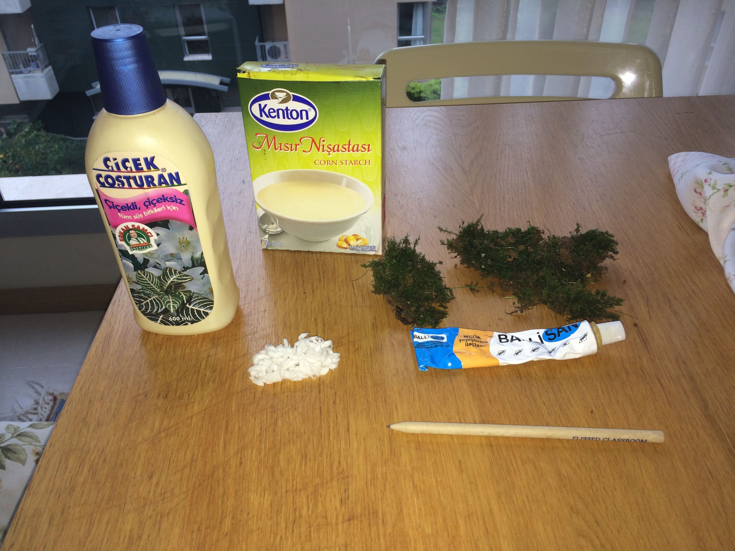 How to Make Moss Graffiti (100 Working Method) 7 Steps (with