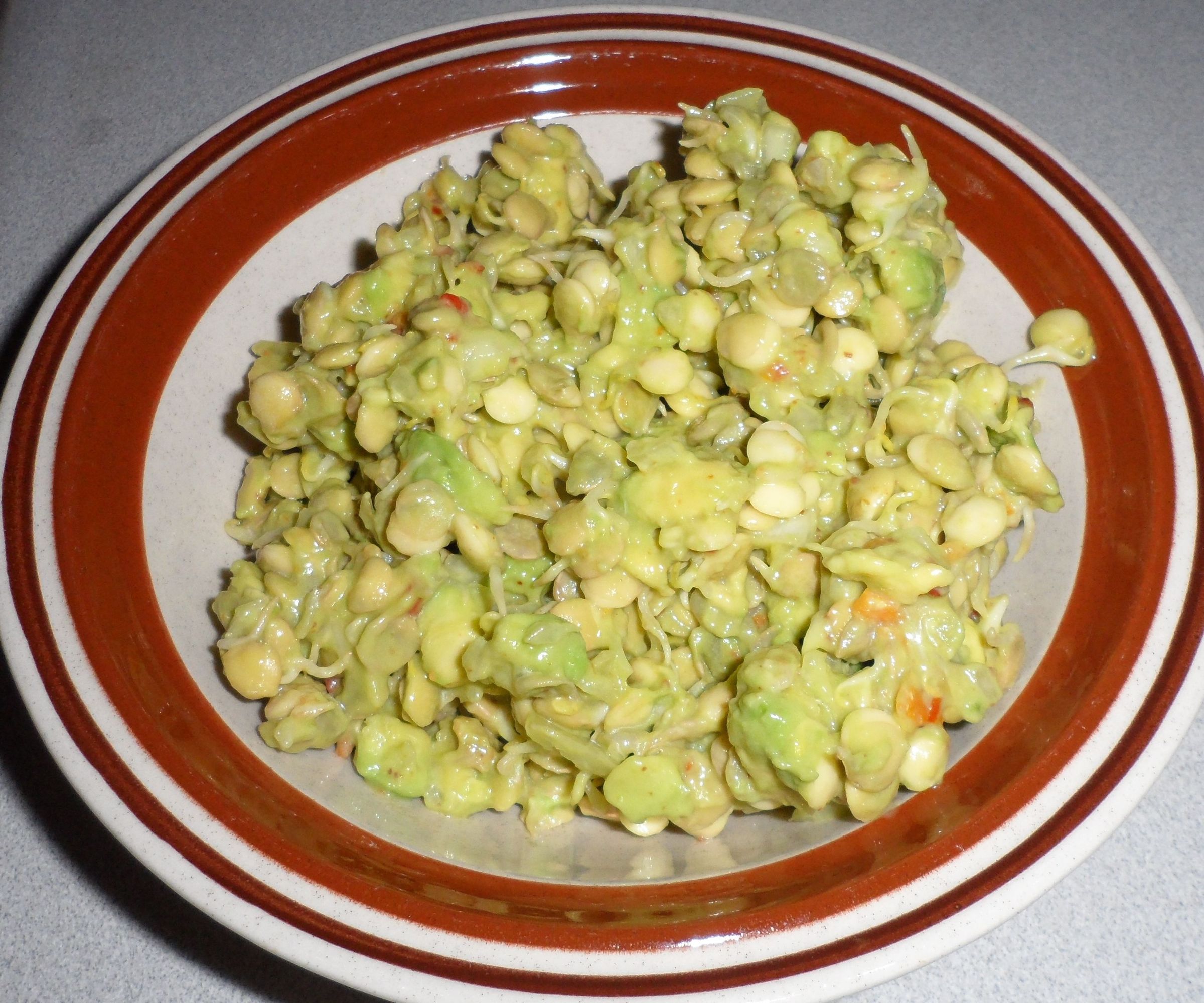 Lentil Sprout Guacamole Salad