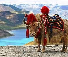 5 Expert Trekking Tips