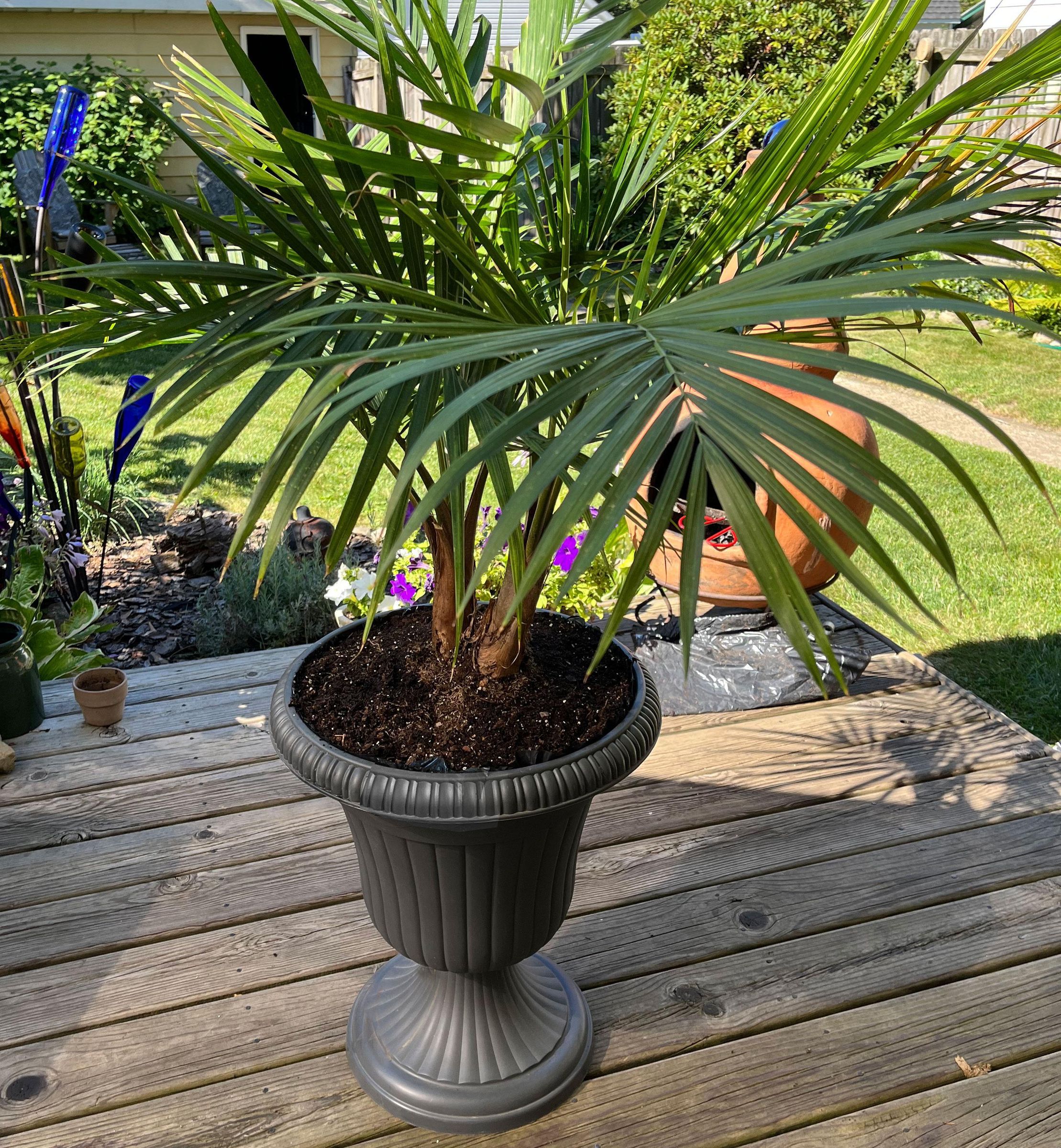 Self-Watering Planter & Water Level 'Dip-Stick'