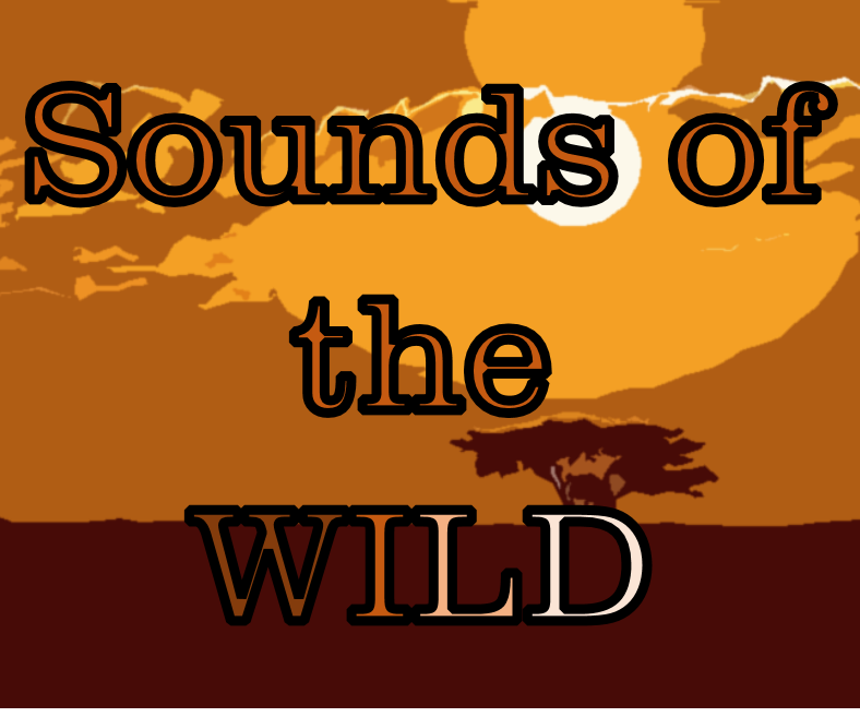 Sounds of the Wild How To: