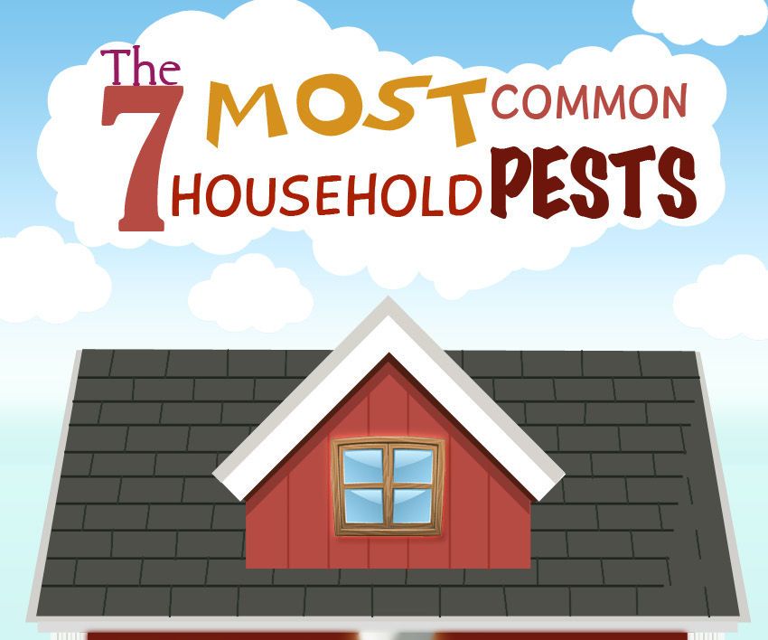 Harmful Effects of Household Pests