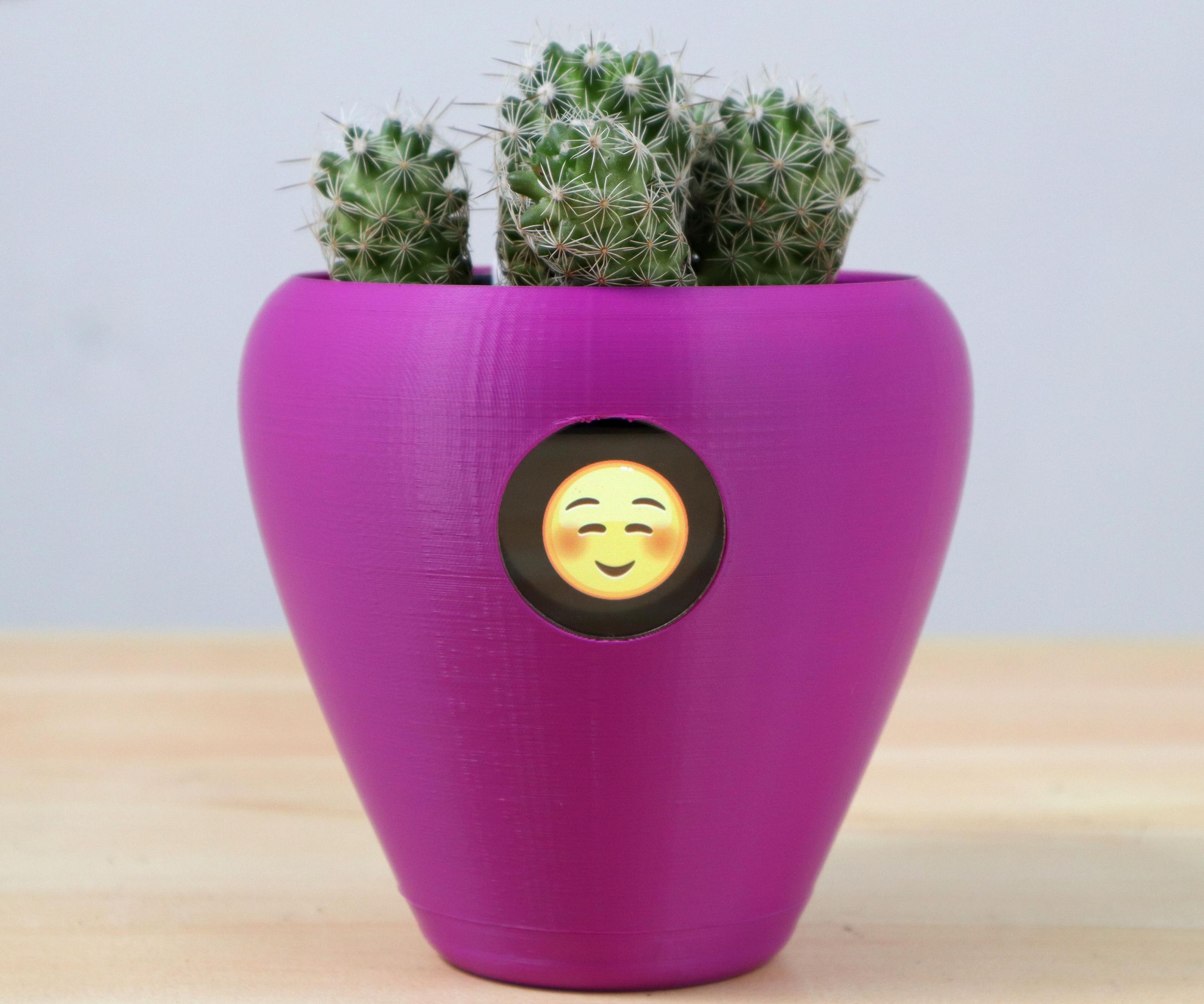 Fytó - Turn Your Plant Into Pet