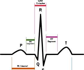 ECG Signal Modeling in LTspice
