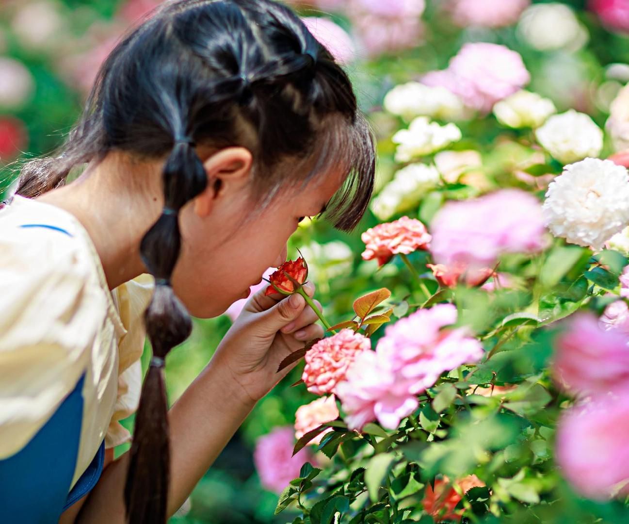 How to Make a Sensory Garden