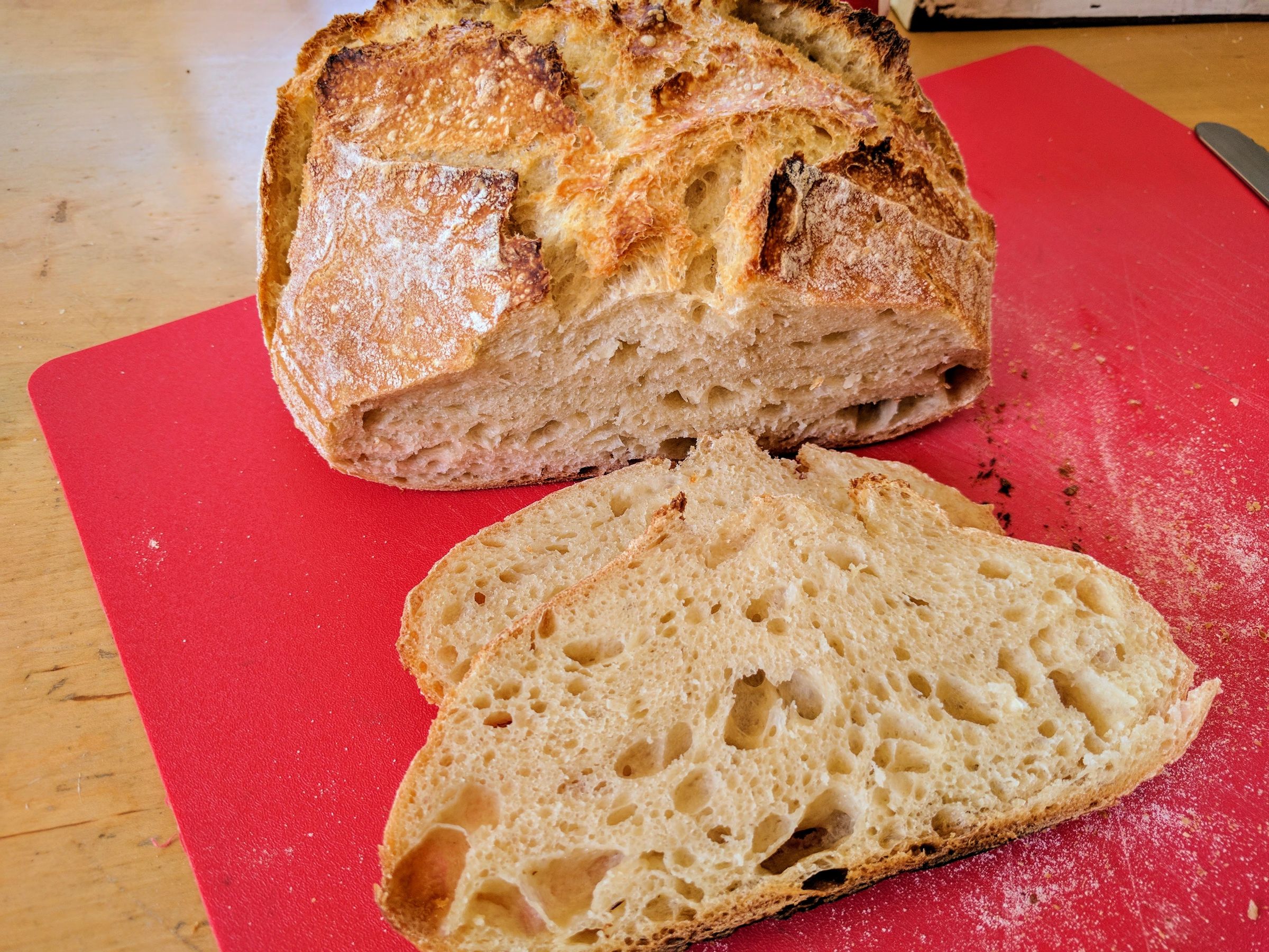 Super Easy Noknead Sourdough Bread 4 Steps (with Pictures