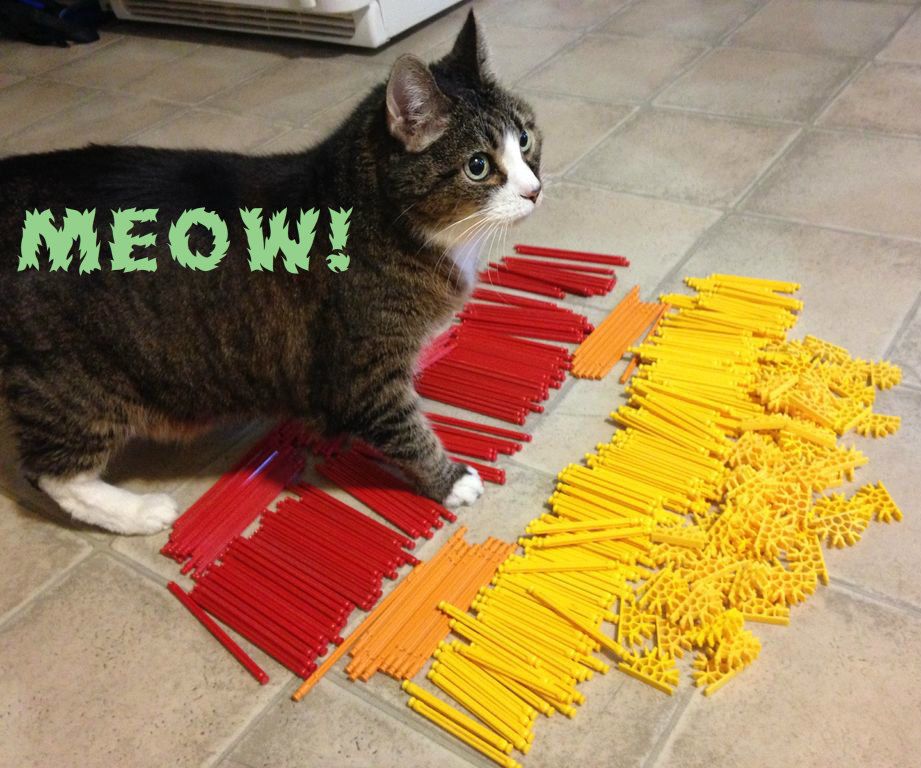 Cat Bridge With K'nex