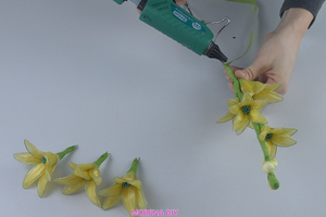 Bu Eğitimi İzlemek Çok Harika ve Bu İşin Ne Kadar Yenilikçi Olduğunu Seviyorum.