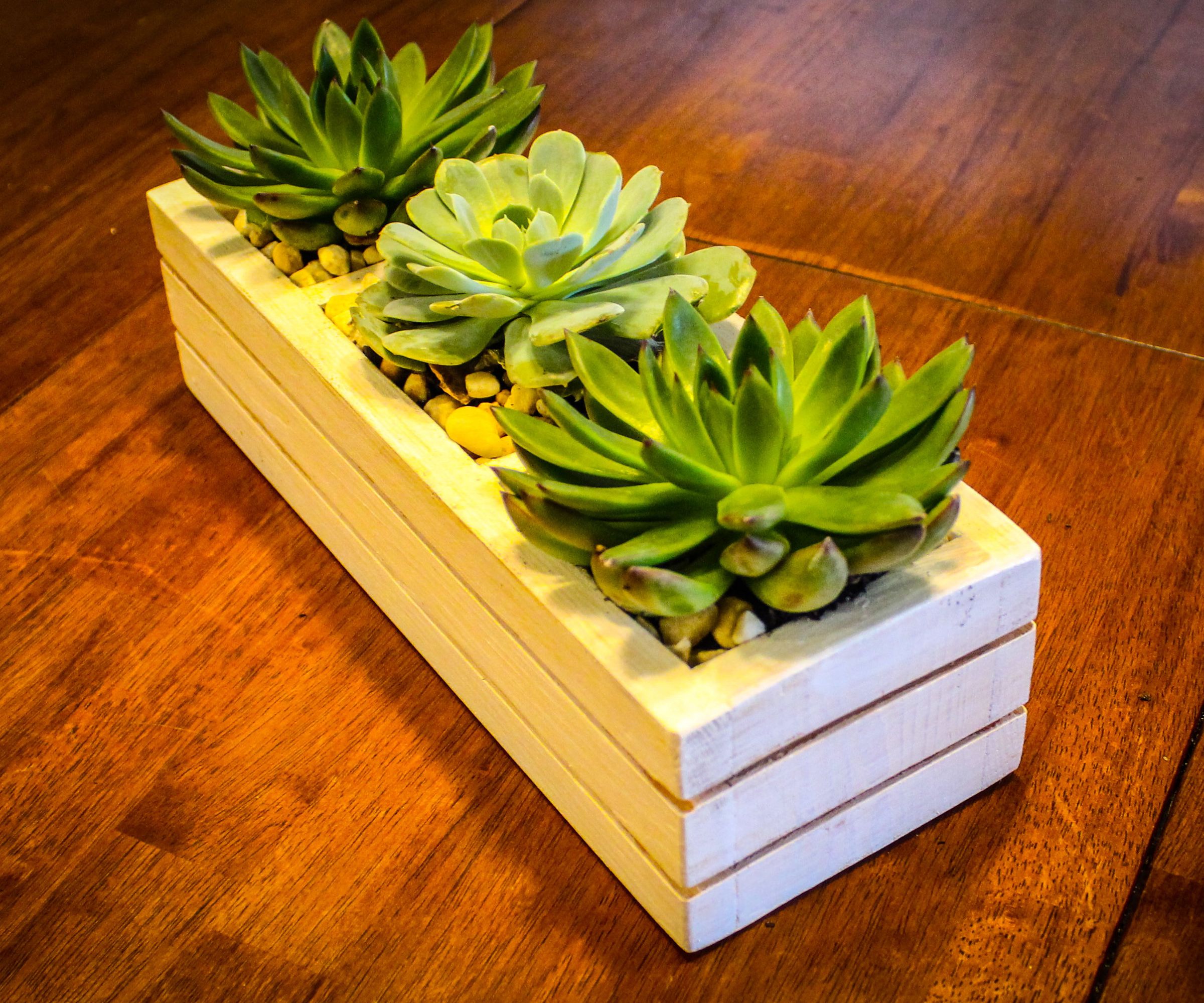 Succulent Planter From Pallets