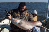Bait a Hook With Whole Shad