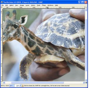 Animal Morph Tutorial How to Morph Animals Using GIMP (free Software) : 5 Steps - Instructables
