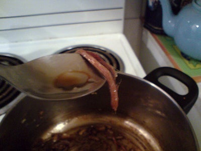 Anchovy Time