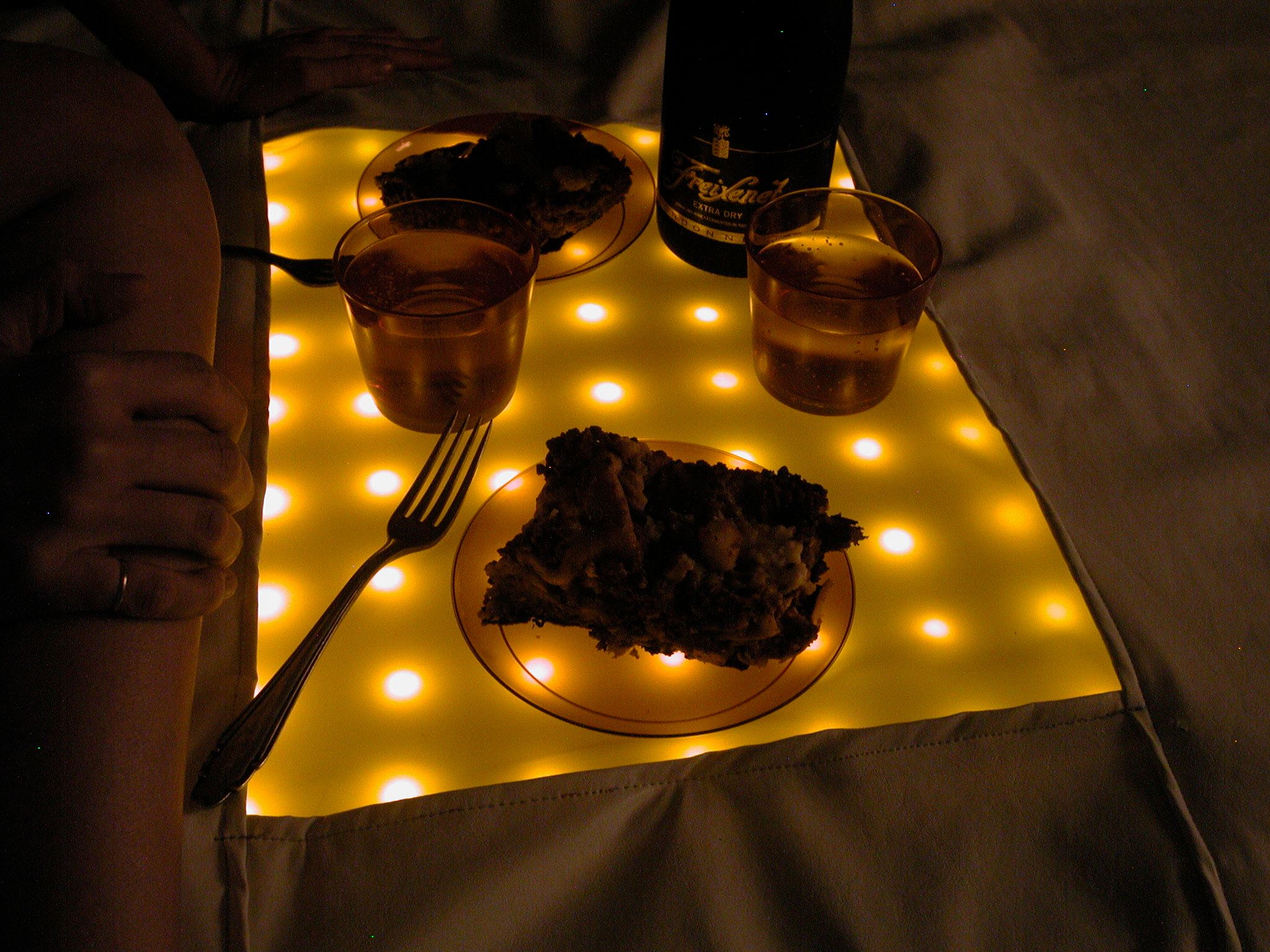 Portable Water Resistant LED Picnic Blanket With Hard Center Serving Surface! 