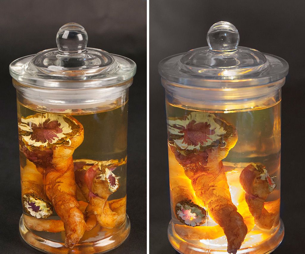 Parasitic Worms Specimen Jars 