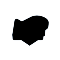 download {{ file.name }}