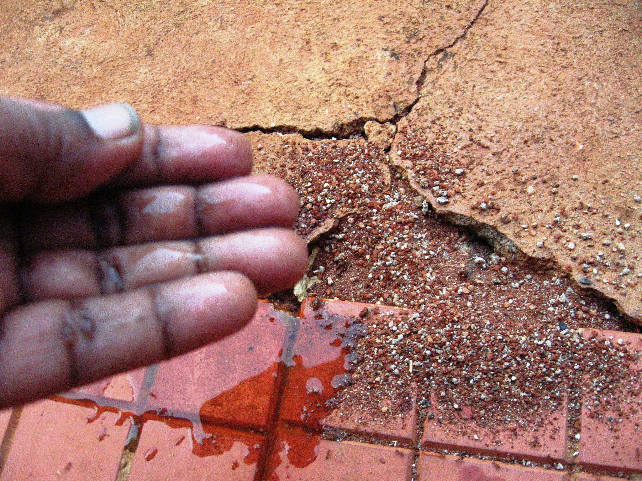 Homemade Organic Ant Repellent 6 Steps Instructables