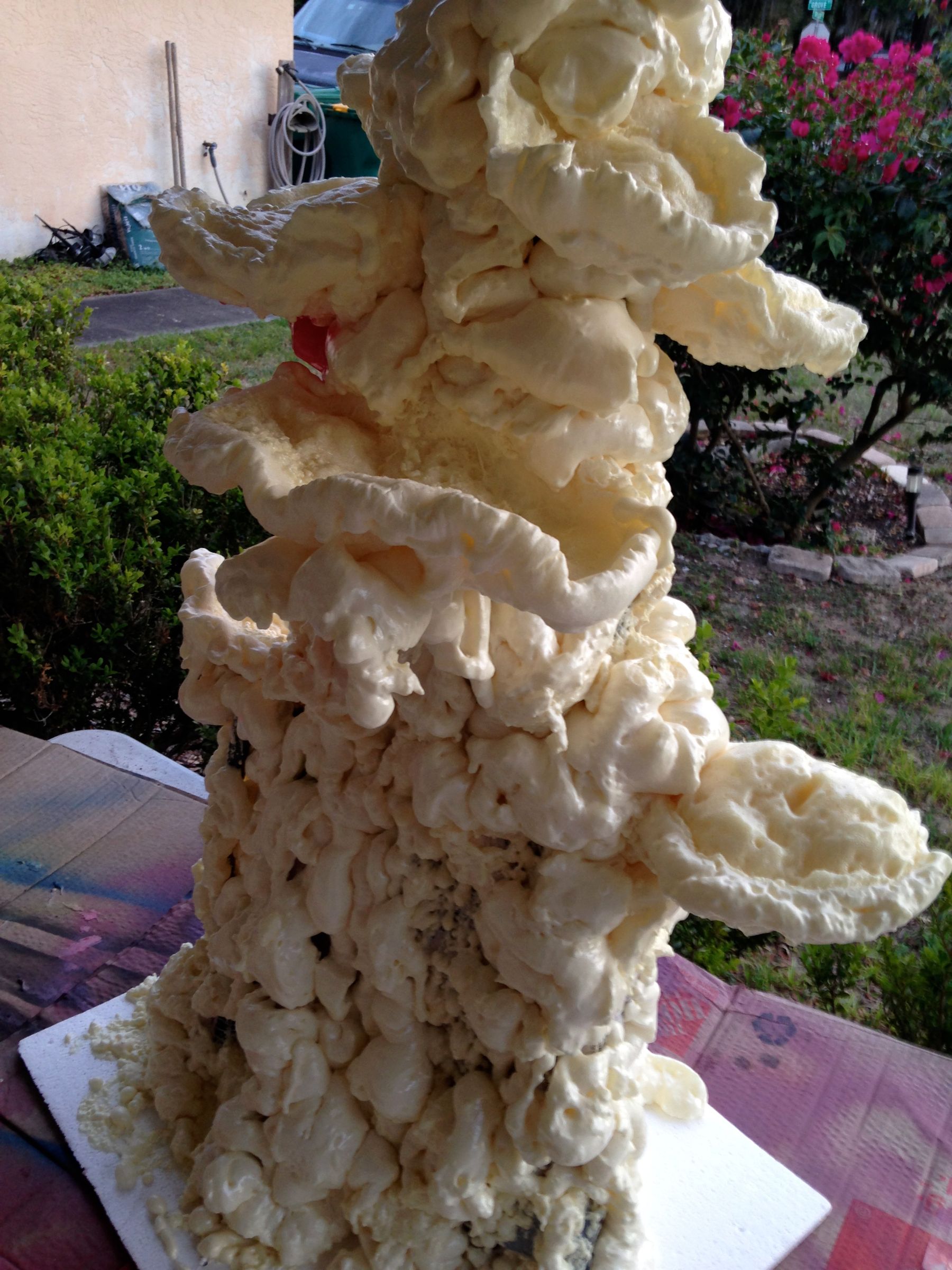 Spray Foam Coral 4 Steps (with Pictures) Instructables