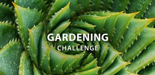 Gardening Challenge