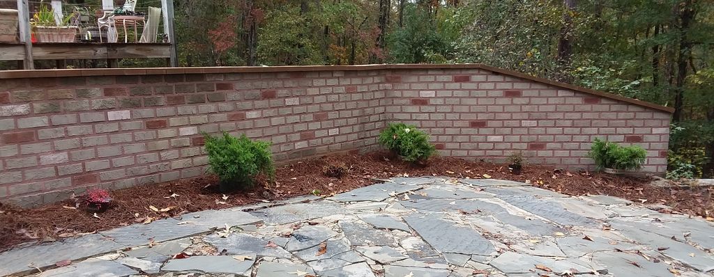 Adım 4: Dönüşümün Keyfini Çıkarın!