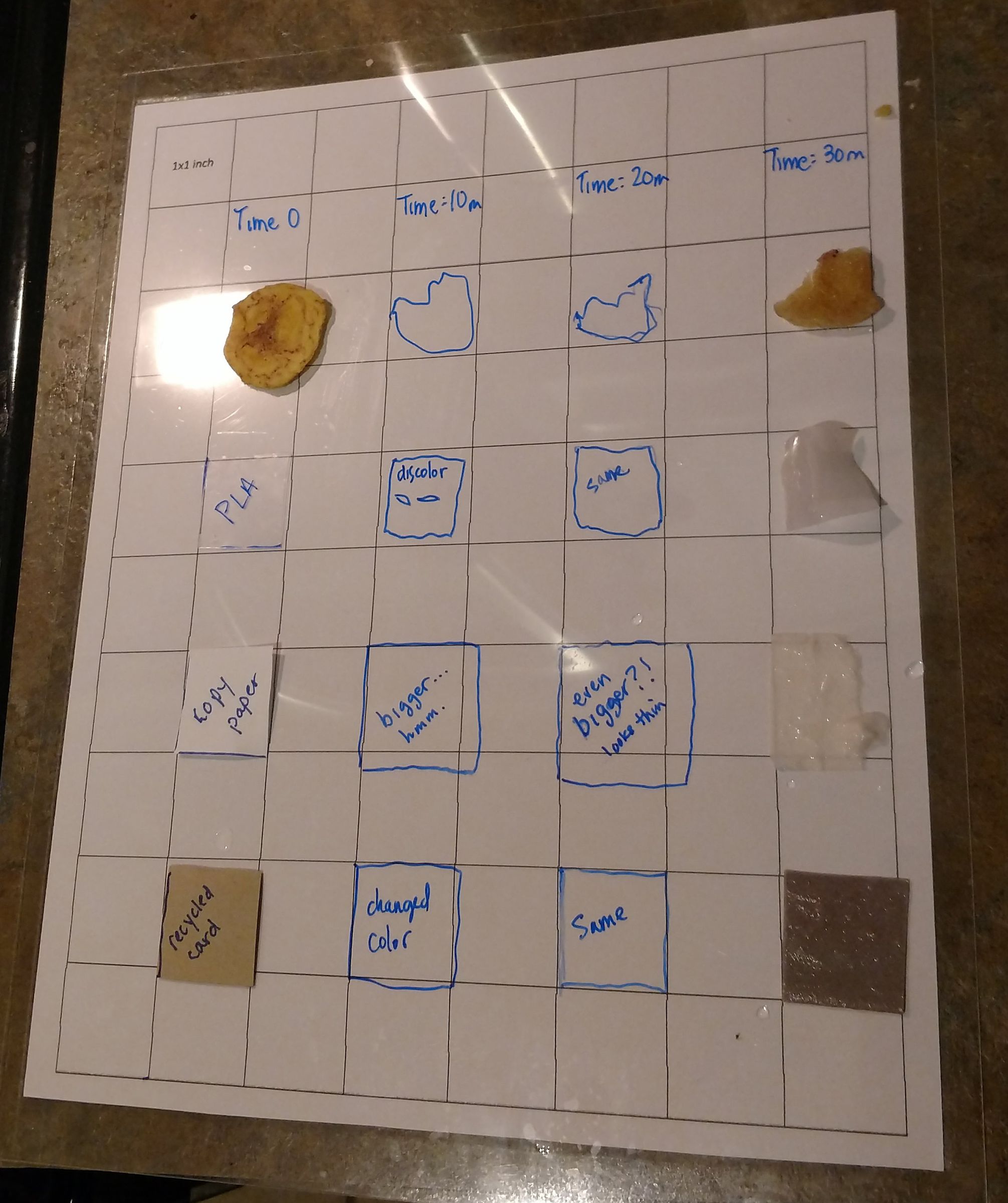 A Biodegradability Experiment You Can Do With Kids! : 8 Steps ...