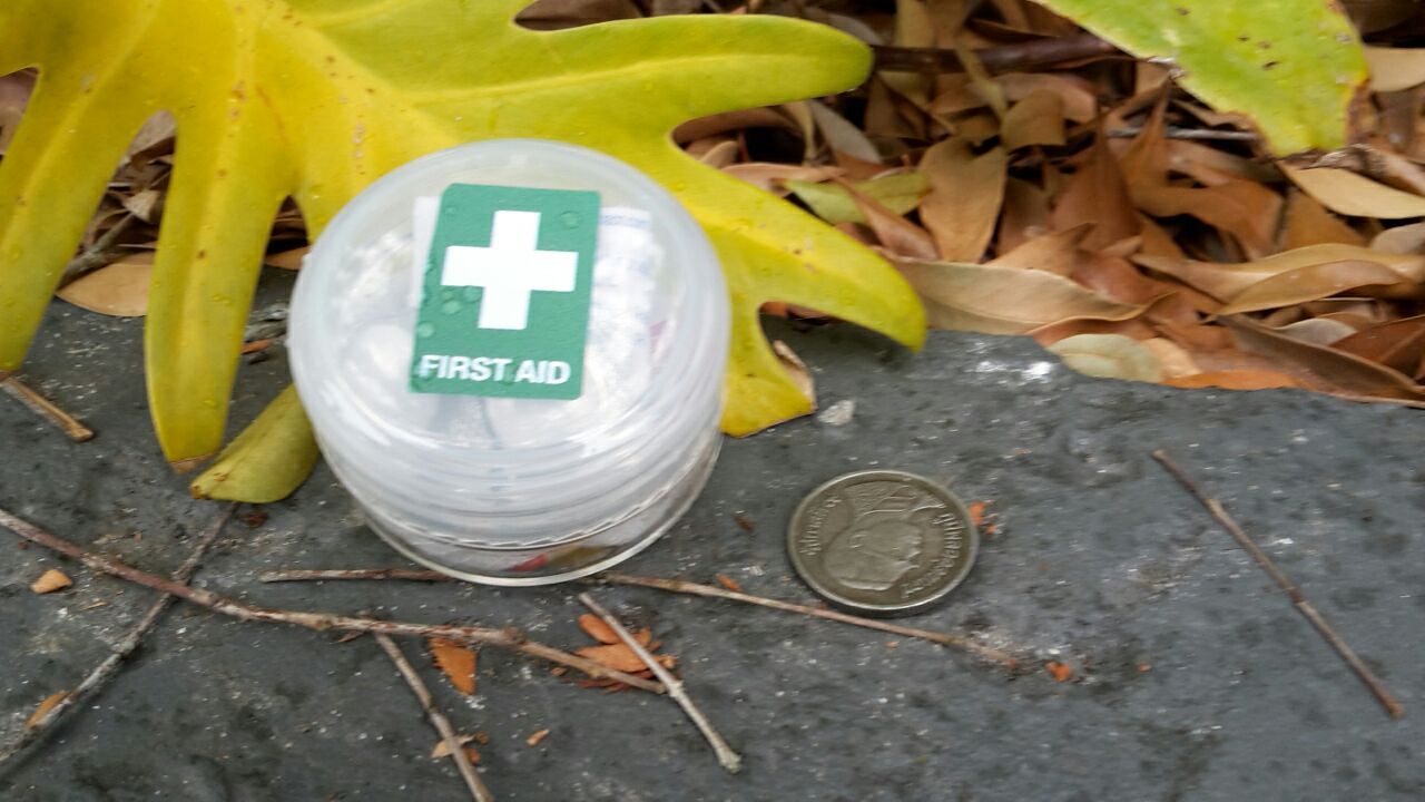 Mini 10 Piece Pocket Survival Kit!